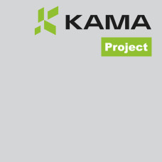 Упаковочный картон Кама Project GC2 - 270/72х104
