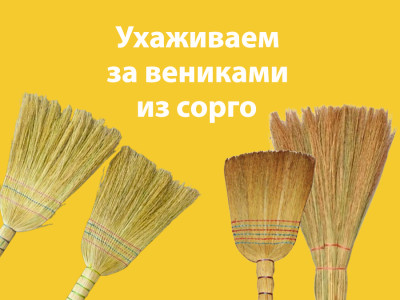 Как ухаживать за веником из сорго?